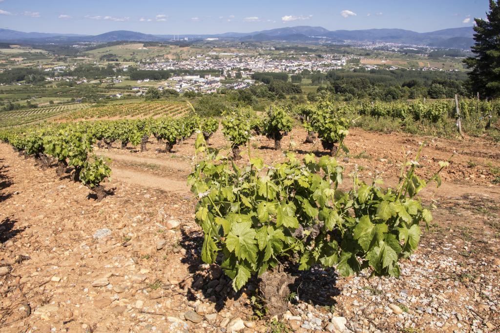 La Casina De Terobe Βίλα Cacabelos  Εξωτερικό φωτογραφία